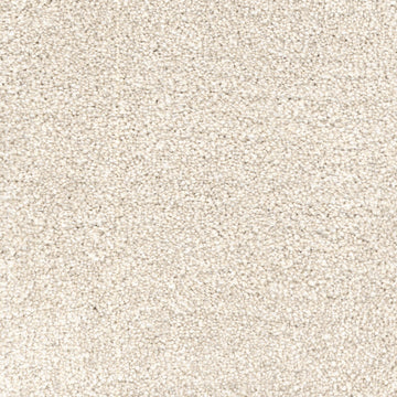 Beach Sand