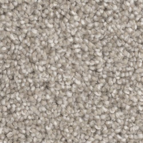 Hessler Park in Carpet Flooring | Newton
