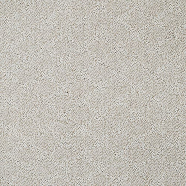 Hali in Carpet Flooring | Newton