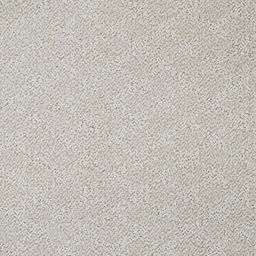 Hali in Carpet Flooring | Newton