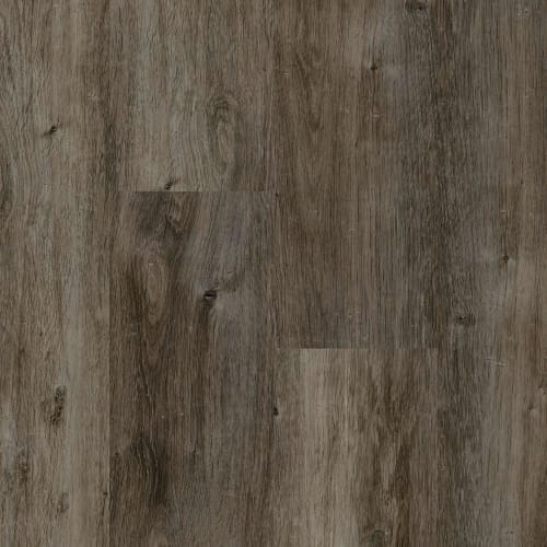 Key Biscayne in Driftwood