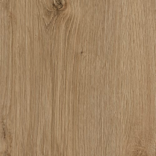Mendocino in Evoke Trend
