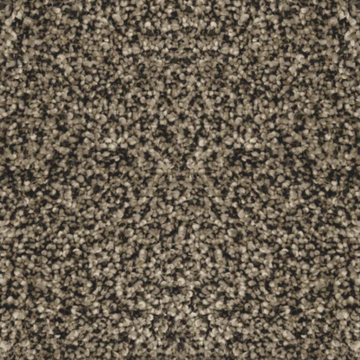 Bark