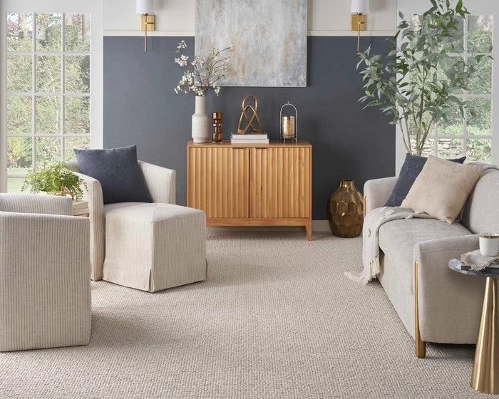 Easiest Carpet Styles & Fibers to Maintain from Newton