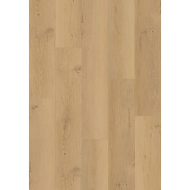 Refined Timbers in Abercorn Street