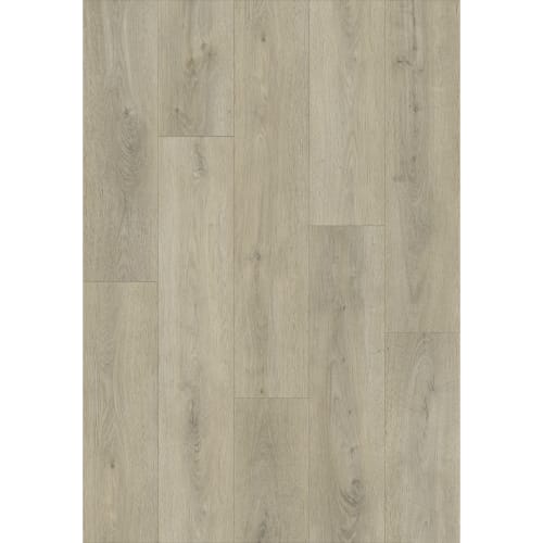 Carver in Gaston Street