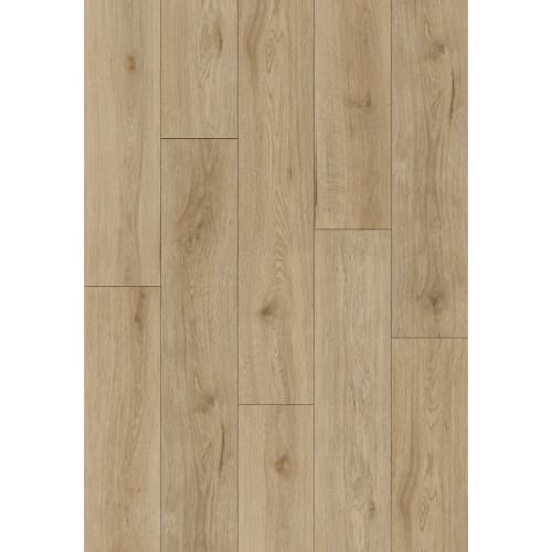 Carver in Bay Street