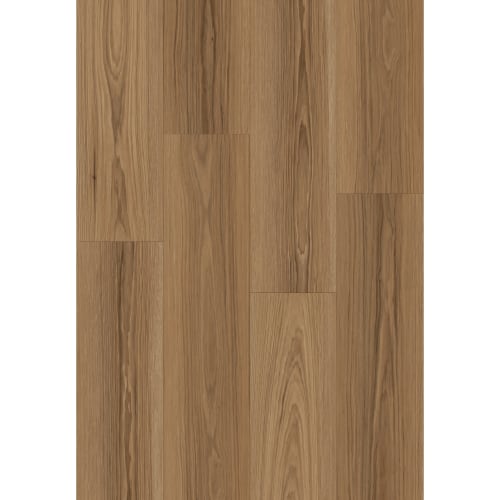 Carver in Habersham Street