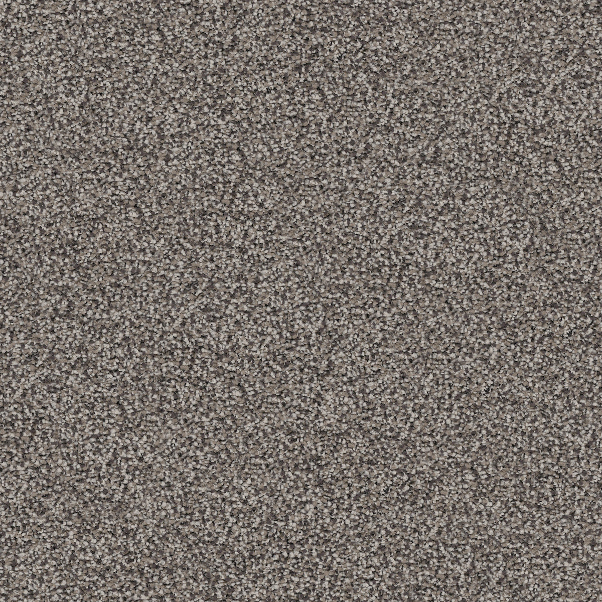 First Place Carpet Flooring Newton — Newton Flooring