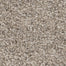 Redhill Springs in Carpet Flooring | Newton