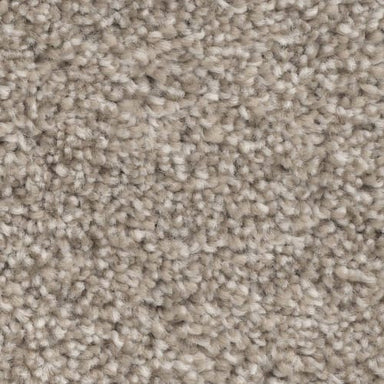 New Bern in Carpet Flooring | Newton