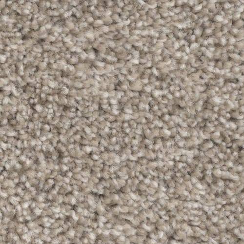New Bern in Carpet Flooring | Newton