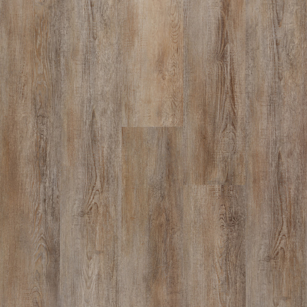Mystic in Chestnut