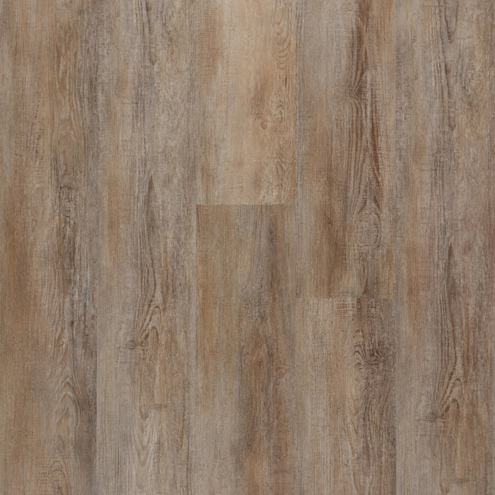 Mystic in Chestnut
