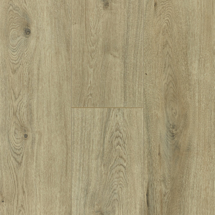 Palm Springs in San Jacinto Laminate flooring by Newton