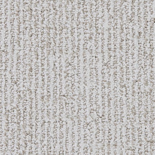 Ariel in Carpet Flooring | Newton