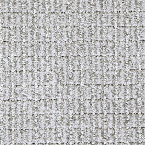 Lana in Carpet Flooring | Newton
