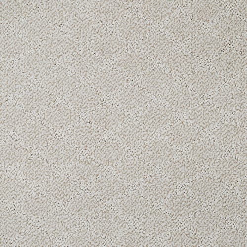 Hali in Carpet Flooring | Newton