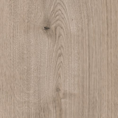 Clearwater in Ferrara Chillwond Laminate flooring by Newton