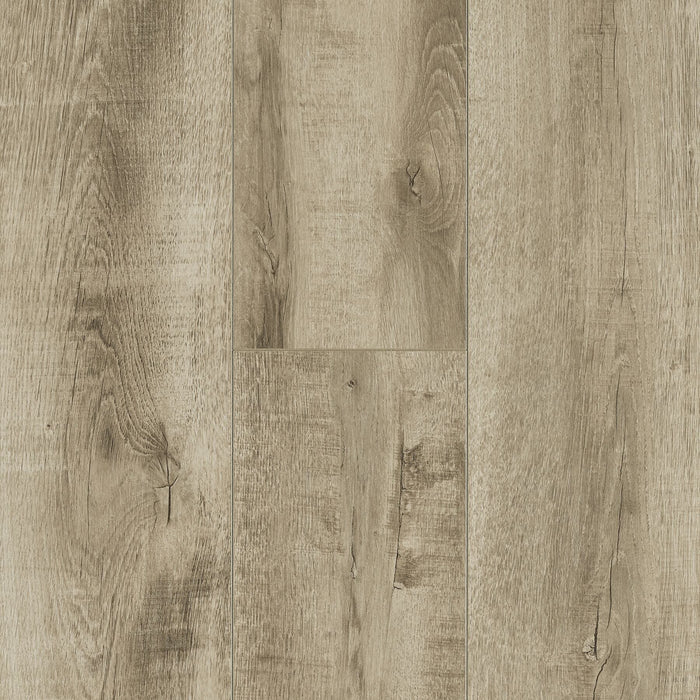 Desert Life in Desert Angel Laminate flooring by Newton