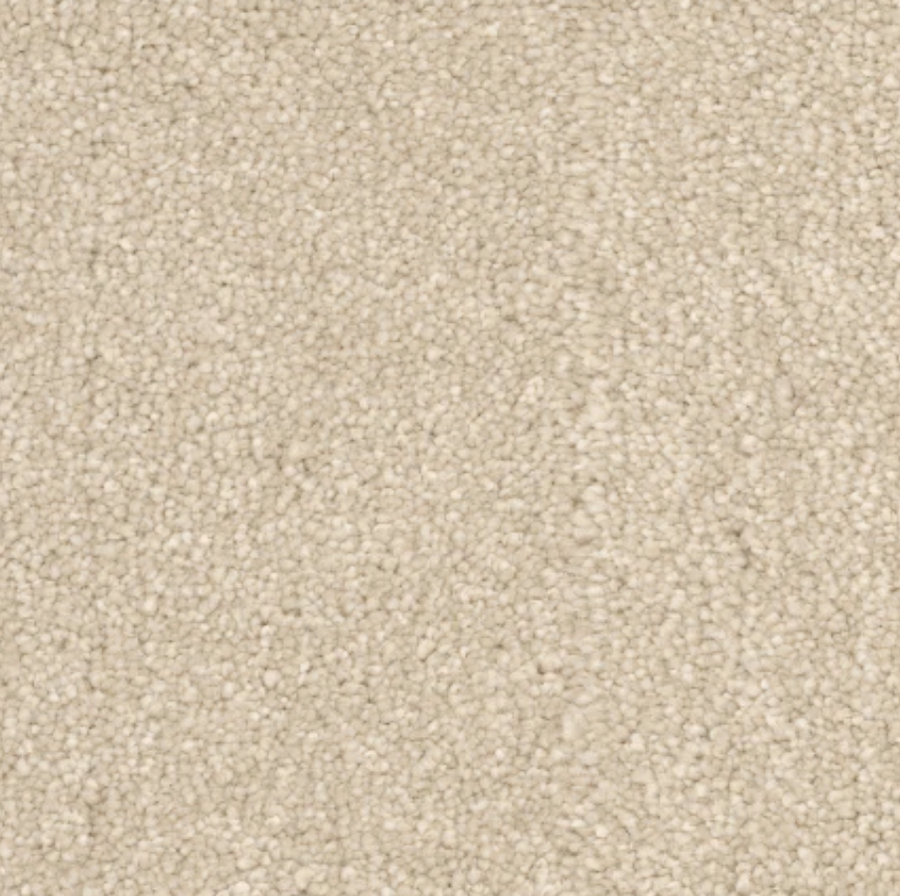 Belmont I Carpet Flooring Newton — Newton Flooring