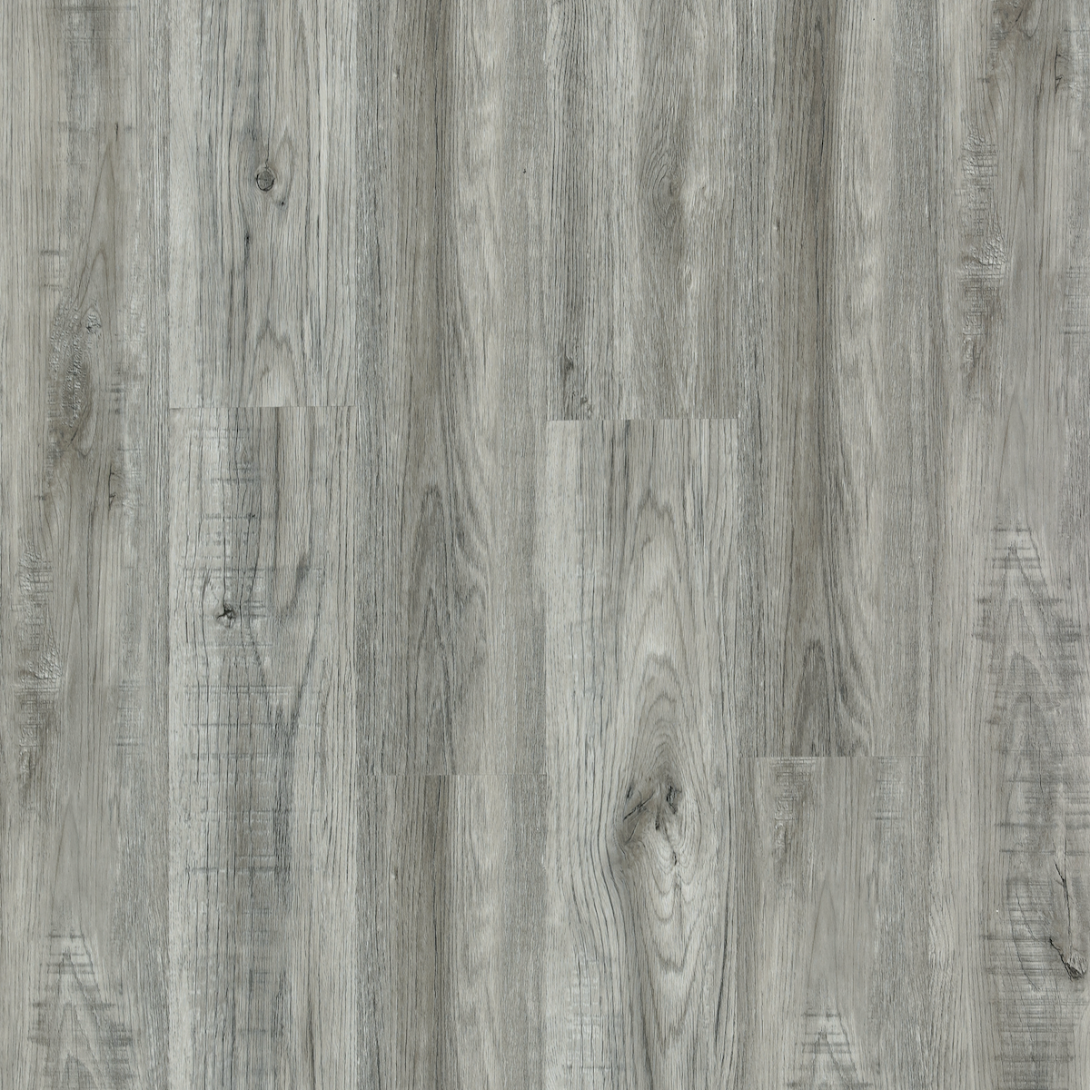 chic_1200x1200.png?v=1735928061